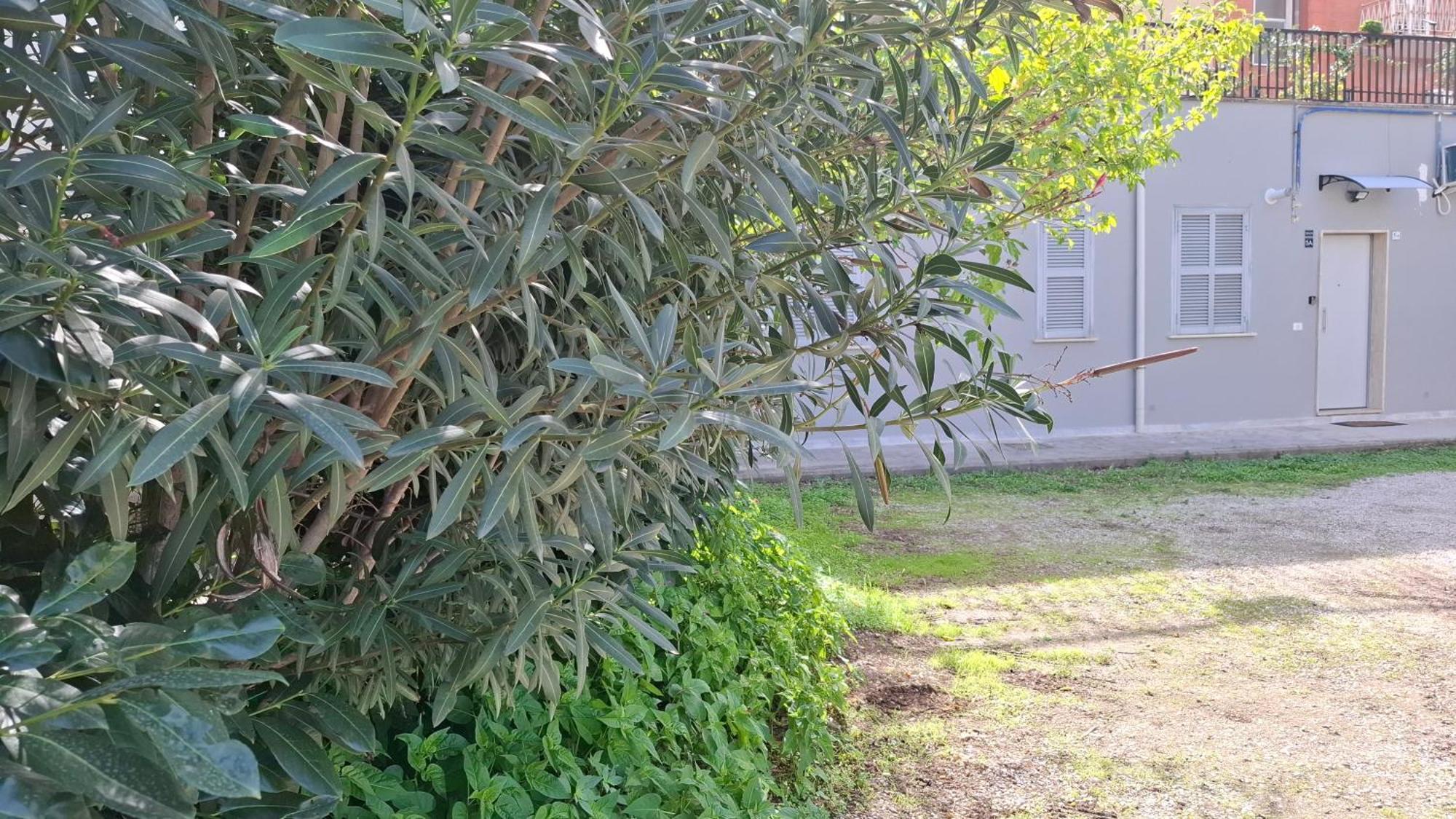 Altavilla Apartments Roma 외부 사진